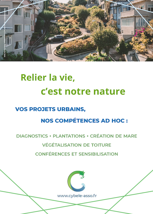 Cybèle - Flyer Structures 2021 : Vos projets urbains,<br/>nos compétences ad hoc